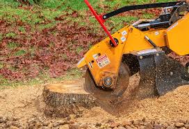 Best Stump Grinding and Removal  in Boyes Hot Springs, CA